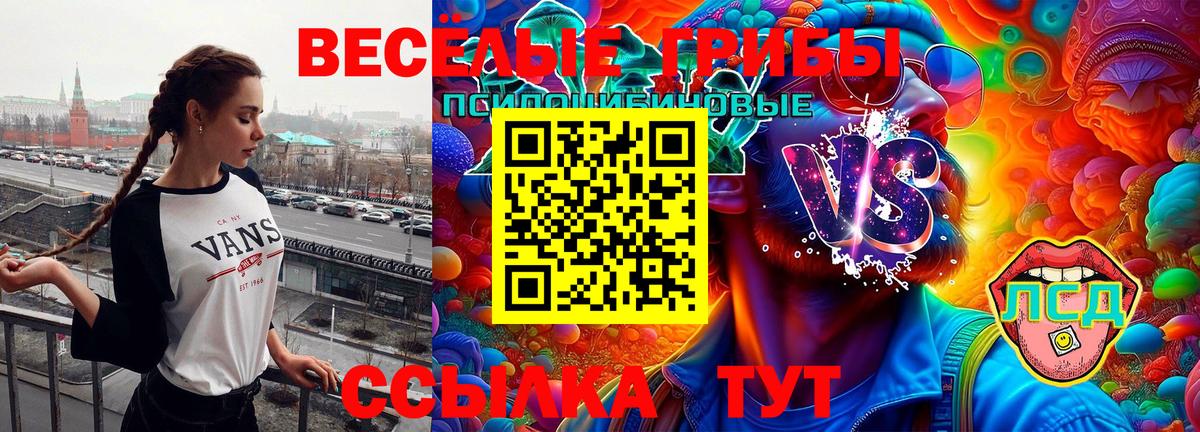 Галлюциногенные грибы GOLDEN TEACHER  Вход с VPN  Красноперекопск  Галлюциногенные грибы мицелий 